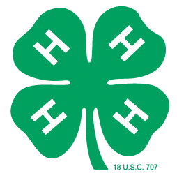 4H Clover