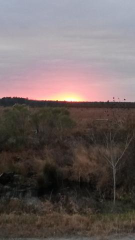 Sunset at Dismal Swamp State Park