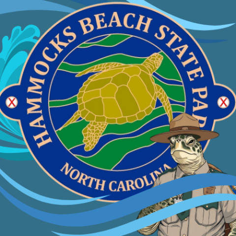 A logo of Hammocks Beach State Park. The logo has a golden sea turtle in the center of a blue circle with the park's name.  Blue waves wash across the logo and a loggerhead sea turtle dressed in a ranger's uniform is in the bottom right corner