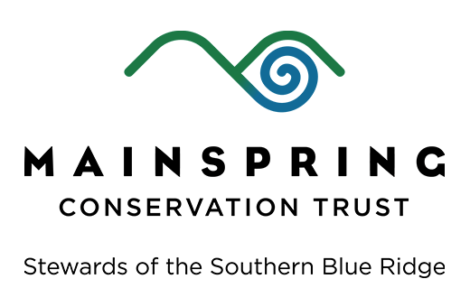 Mainspring Conservation Trust, Stewards of the Southern Blue Ridge