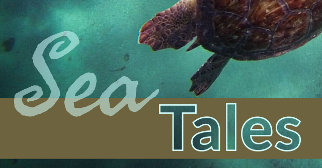 Sea Tales logo with picture of swimming sea turtle
