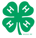 4H Clover