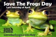 Save The Frogs Day