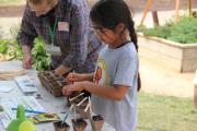 Child planting seeds