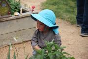 Child in a garden