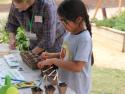 Child planting seeds