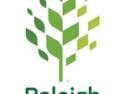 An image of a tree made of rounded squares of green with the word Raleigh beneath it, which is the city of Raleigh logo.