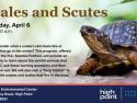 Scales and Scutes flyer with an image of a turtle