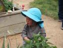 Child in a garden