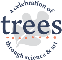 A celebration of trees through science & art